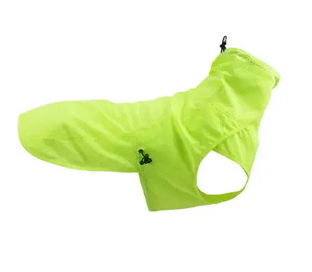 How to Choose Large Dog Coats for Winter