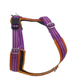 How a Safety Gear Reflective Dog Harness Can Save Your Pet&#039;s Life