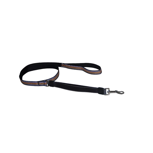 Safety Dog Leash reduces pulling strain