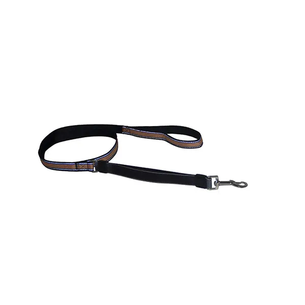 Safety Dog Leash reduces pulling strain