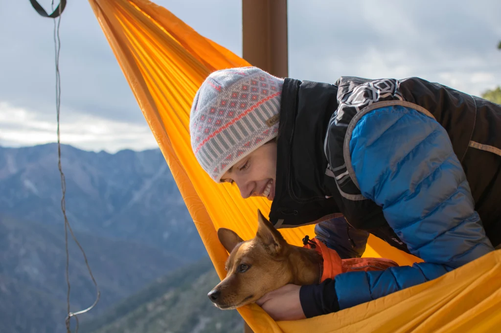 dog vests for small dogs