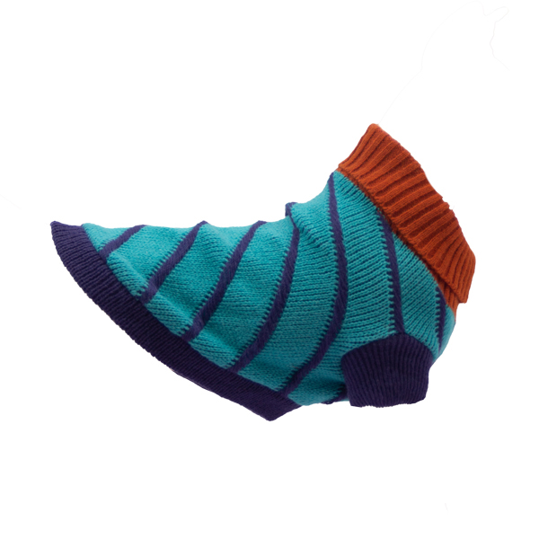 outdoor clothes safety gear puppy collar